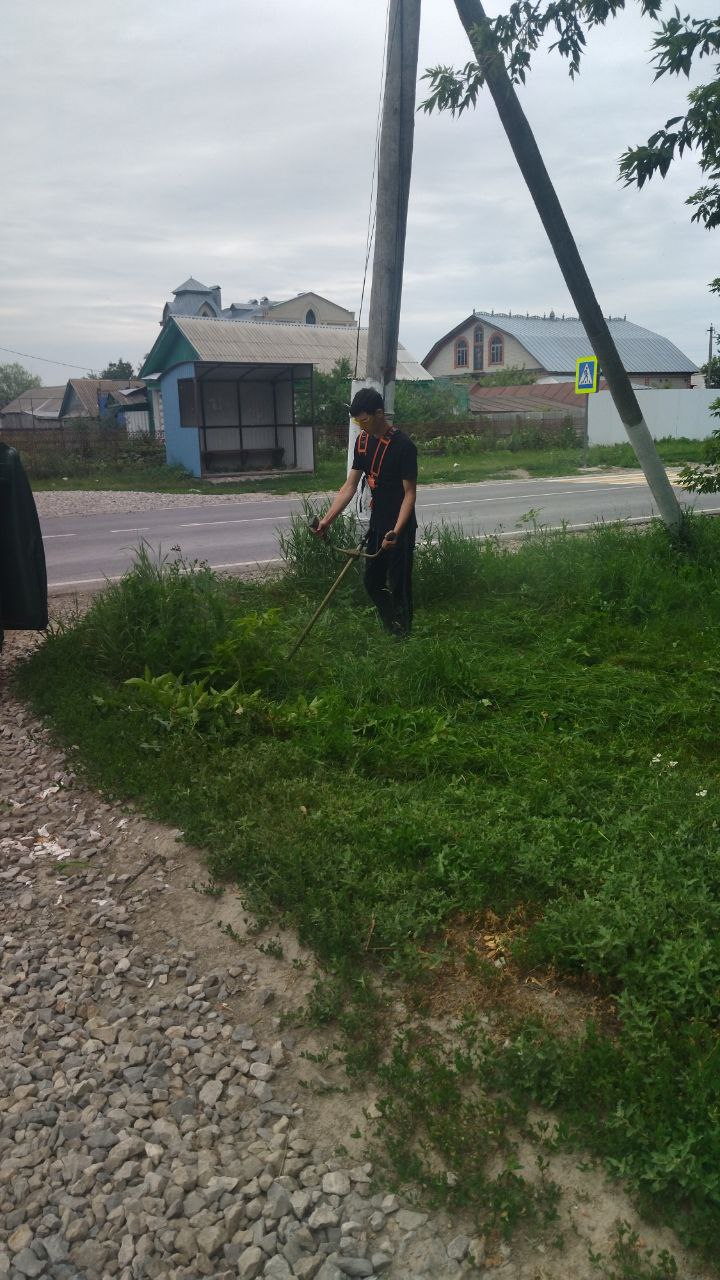 Покос сорной растительности в Яковлевском муниципальном образовании находится на контроле главы администрации