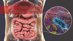 Меры профилактики острых кишечных инфекций во время весеннего половодья