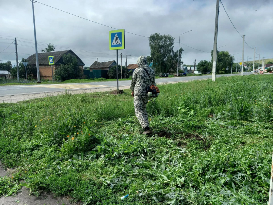 По поручению главы администрации Алексеевского муниципального образования Андрея Демагина непрерывно ведутся работы по обкосу общественных территорий