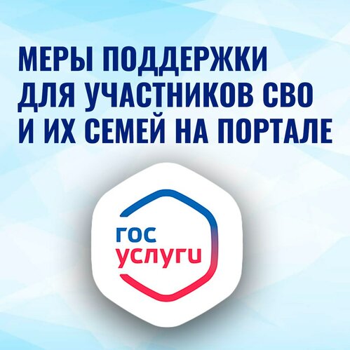 Для участников СВО и членов их семей создан особый раздел на портале Госуслуг