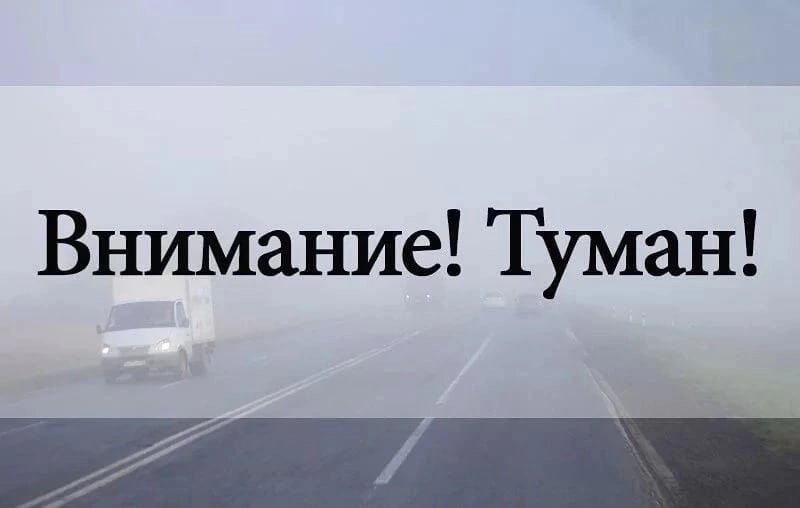 Внимание туман!