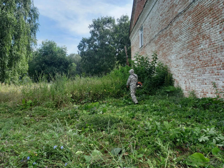 По поручению главы администрации Алексеевского МО Андрея Демагина проведены мероприятия по благоустройству