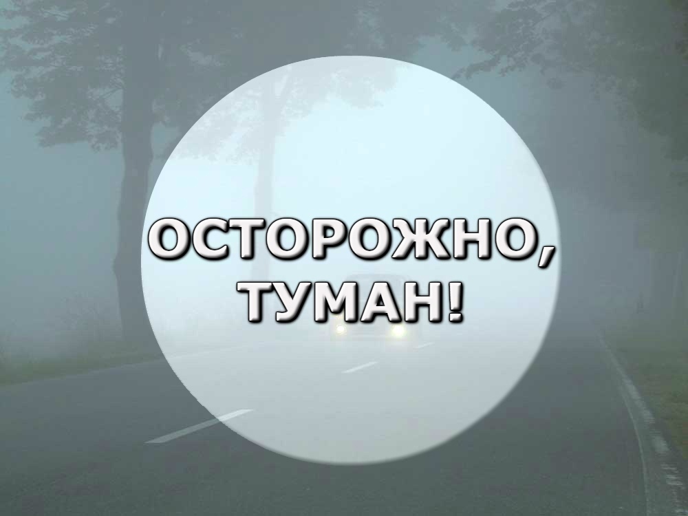 Осторожно! Дорожные ловушки!