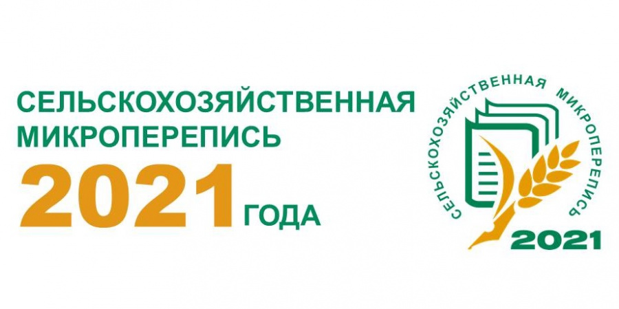 В Саратовской области сократилось число фермерских хозяйств, а их размеры - выросли