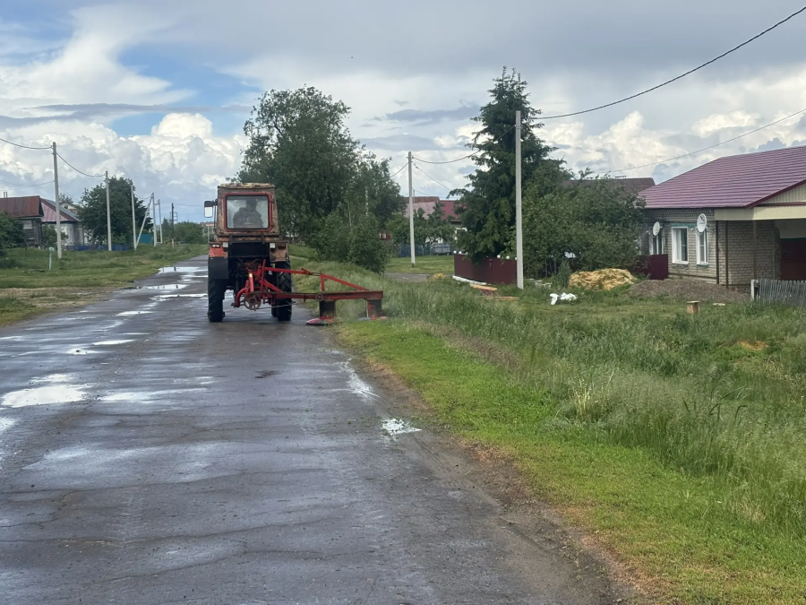 Врип главы администрации Старобурасского МО Ирина Чернышова организовала обкос сорной растительности в с. Борисовка