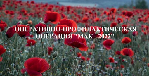 С 15 по 24 августа на территории Саратовской области проводится второй этап межведомственной комплексной оперативно-профилактической операции «Мак - 2022»
