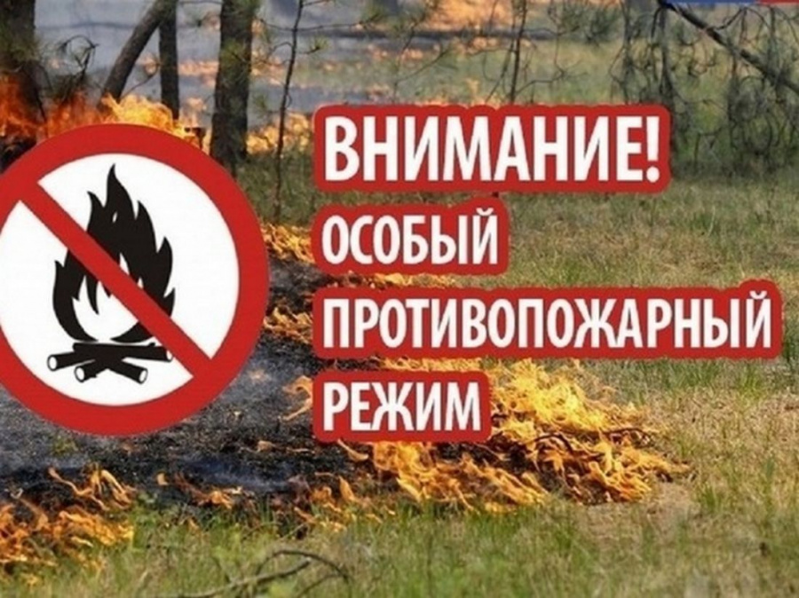 Информация для жителей Казарно-Карабулакского муниципального района: «О правилах поведения в пожароопасный период» Информация для жителей Казарно-Карабулакского муниципального района: «О правилах поведения в пожароопасный период»