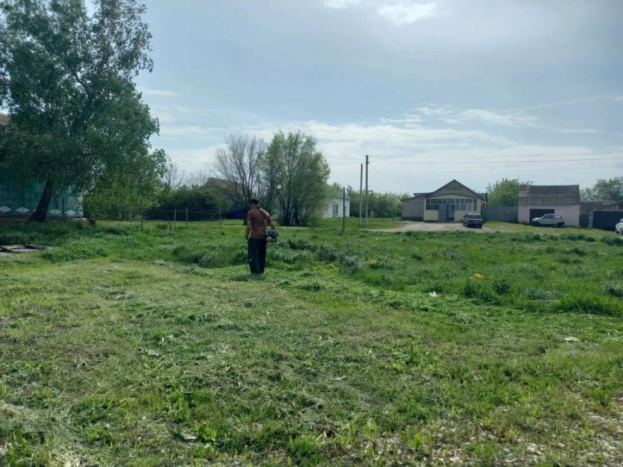 Администрация Липовского муниципального образования приступила к покосу сорной растительности