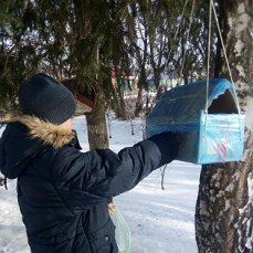 «Накормите птиц зимой»