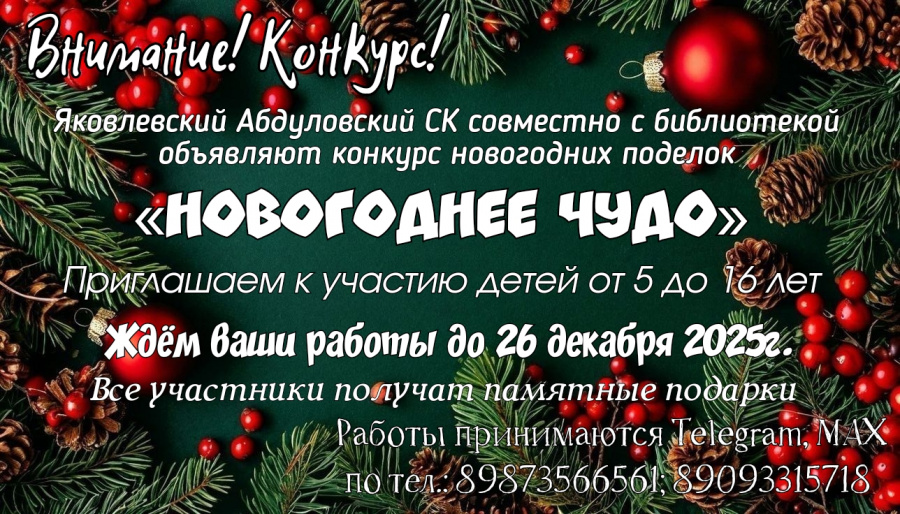 Новогоднее чудо