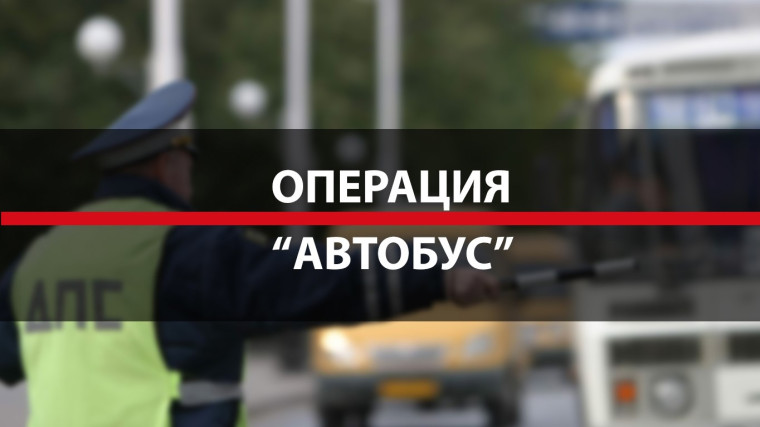 Сотрудники Госавтоинспекции проводят оперативно-профилактическое мероприятие «Автобус»