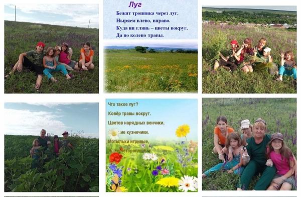 «Путешествие на разноцветный луг» Экскурсия «Путешествие на разноцветный луг» Экскурсия