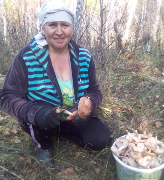 Ой грибы грибочки