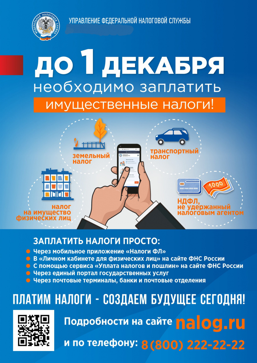 Незнание о налогах не освобождает от их уплаты! Незнание о налогах не освобождает от их уплаты!