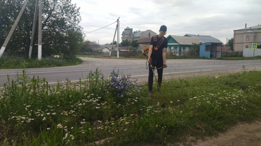 В селе Яковлевка проводится покос сорной растительности