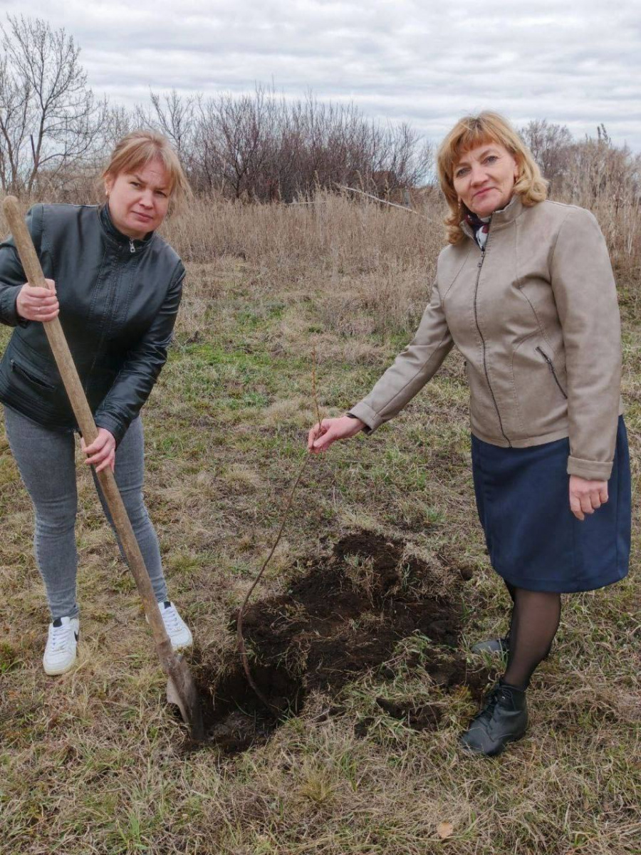 Специалисты администрации Максимовского муниципального образования присоединились к акции «Сад Памяти»
