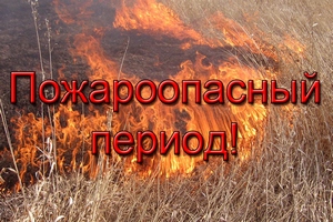 Порядок использования открытого огня и разведения костров на землях сельскохозяйственного назначения и землях запаса
