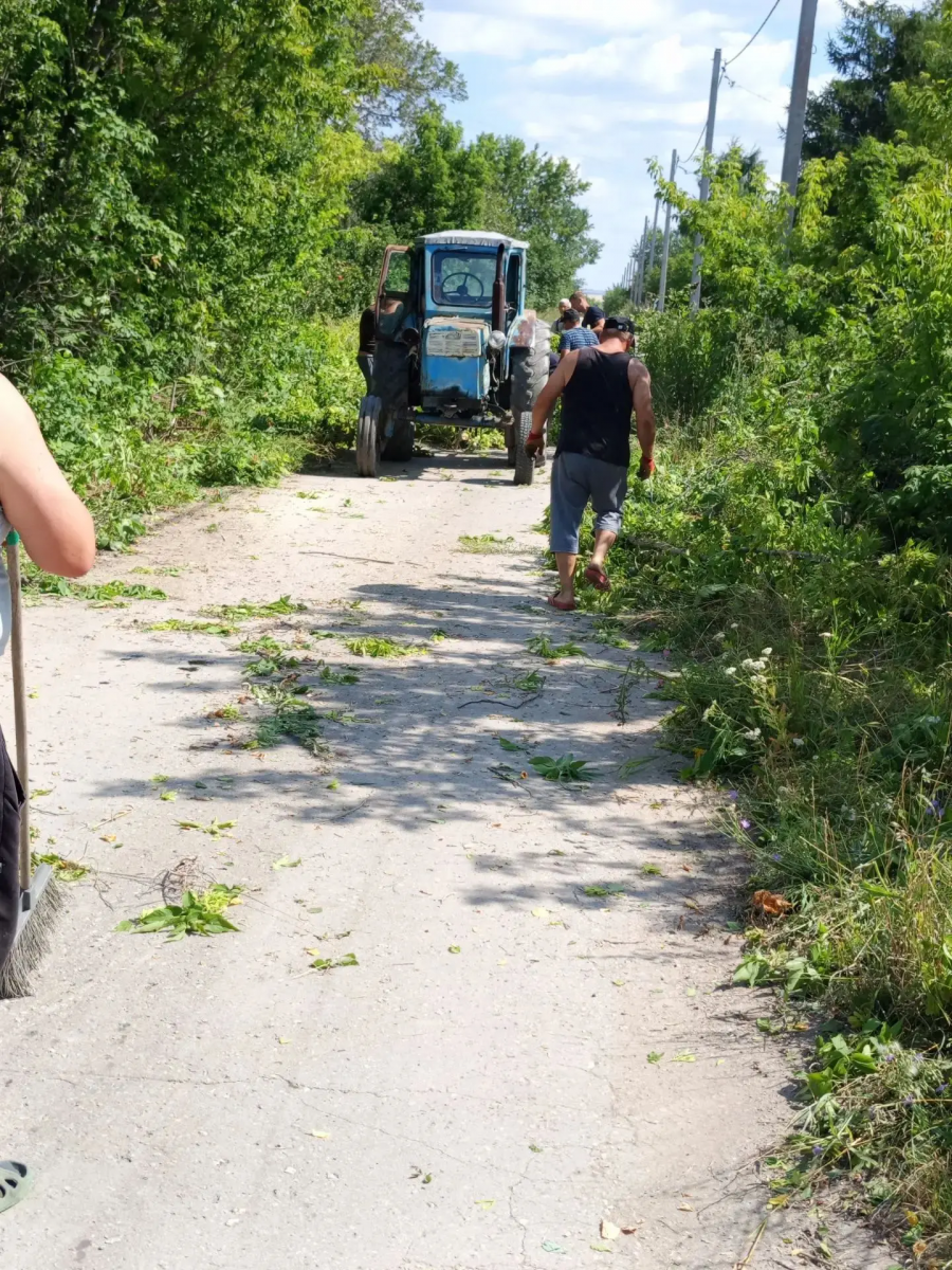 В Максимовском МО организована опиловка деревьев