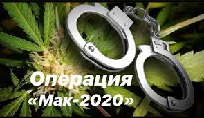Стартует оперативно-профилактическая операция «Мак-2020»
