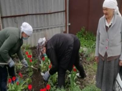 «Волонтерская помощь труженикам тыла» Акция