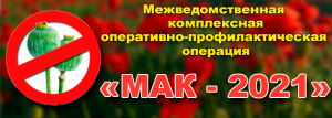 С 4 по 13 июля на территории Саратовской области проводится четвертый этап межведомственной комплексной оперативно-профилактической операции «Мак - 2022»