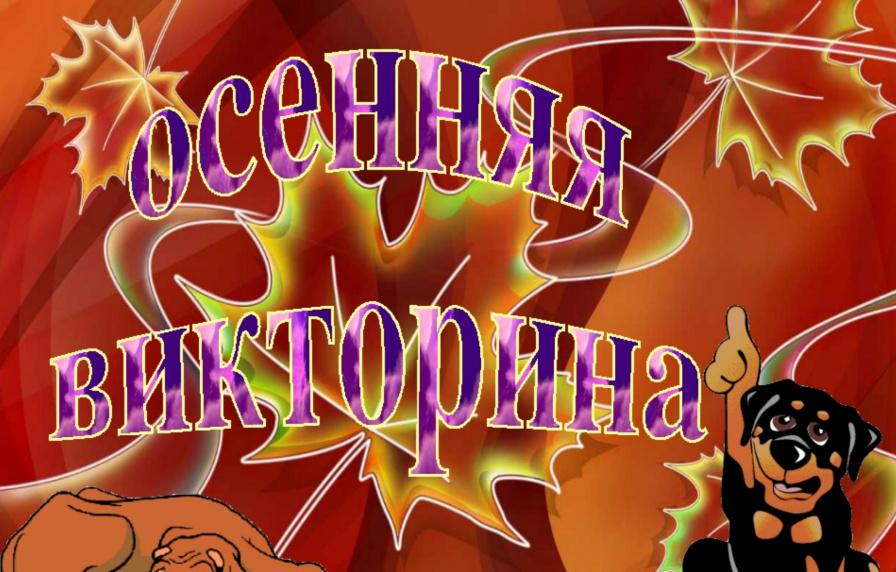 Осенний калейдоскоп