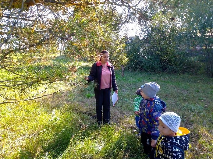 «Осень – чудная пора»                                                                                         Экологическая экскурсия в парк