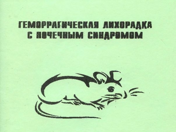 ГЕМОРРАГИЧЕСКАЯ лихорадка с почечным синдромом (ГЛПС)