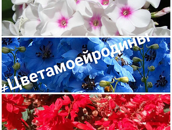 Цвета моей Родины