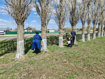 В Старожуковском МО проведены мероприятия по благоустройству парковой зоны с. Старая Жуковка, в которых приняли участие работники администрации, соц.работники, работник библиотеки, СДК