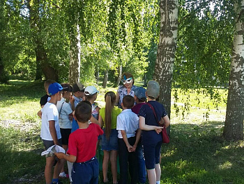 Экологический квест «Загадки волшебного леса»