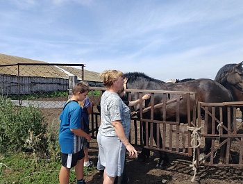 «Край родной»                                                                                                                                          Пешая экскурсия по родному селу