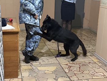 В Базарно-Карабулакском районе сотрудники полиции провели профиориентационное мероприятие для студентов техникума