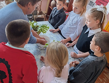 «Капля жизни»                                                                                                                                       Акция