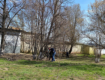 Коллектив администрации района провёл очередной субботник