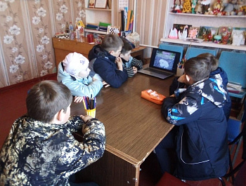 Что мы знаем о птицах?