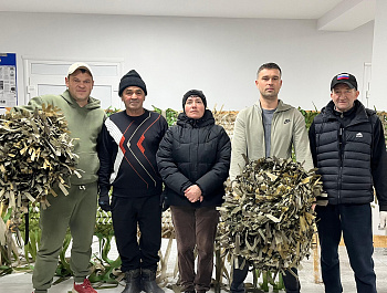 На базе Белогорского СДК была произведена отправка очередной партии маскировочных сетей,изготовленных жителями наших сел