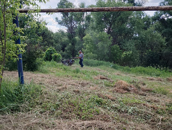 Администрации муниципальных образований района продолжают в ежедневном режиме работу по организации покосов сорной растительности на общественных территориях