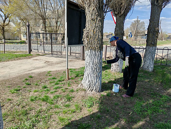В Старожуковском МО проведены мероприятия по благоустройству парковой зоны с. Старая Жуковка, в которых приняли участие работники администрации, соц.работники, работник библиотеки, СДК