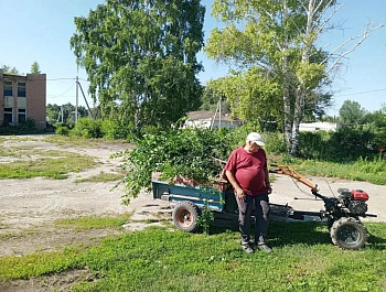 Глава администрации Максимовского муниципального образования Татьяна Брагина организовала очередное мероприятие акции «Чистый четверг»