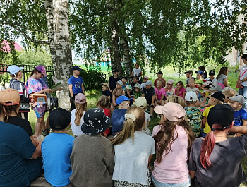 "Лето книжного цвета"                                                                                                      КвизБук