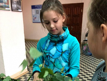 Празднование Троицы 