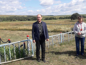 Война болит в душе моей