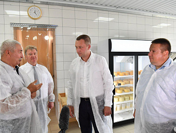 В Калининском районе начали выпускать сыры