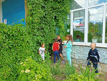 Банановая лихорадка