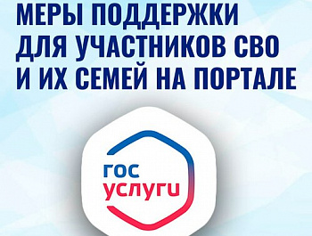 Для участников СВО и членов их семей создан особый раздел на портале Госуслуг