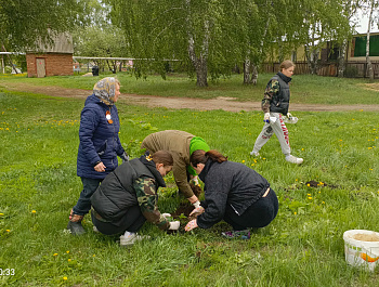 Накануне великого праздника Дня Победы по всей стране проводится Всероссийская акция Сад Памяти