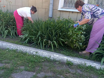 Сотрудники администрации Алексеевского муниципального образования вышли на "Чистый четверг"