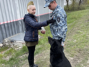 Георгиевская ленточка